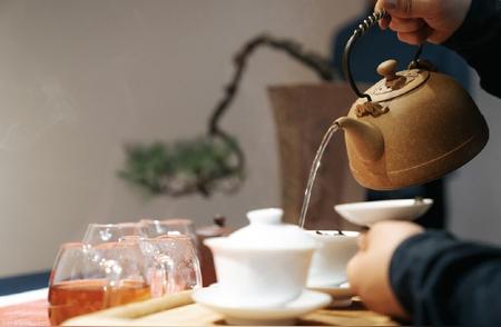 探索白茶的独特之处：品味与推荐