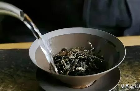 五亿霉菌藏一克熟茶？揭秘普洱茶的真实面目