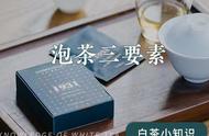 掌握泡茶三要素，轻松成为茶道高手