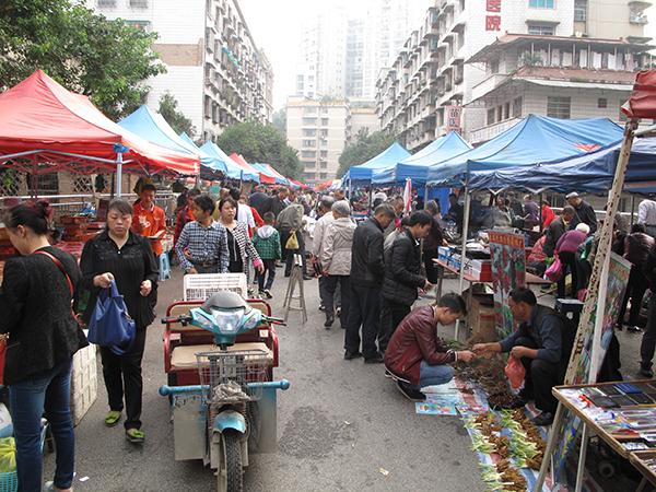 贵州省黔南州都匀市：离开是为了更好地回来，请给我一杯都匀毛尖