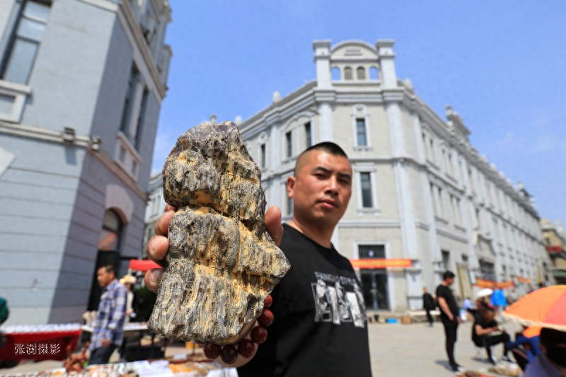 小鸟小猪小鱼 这里嫩江流域的象形玛瑙石可以开个动物园